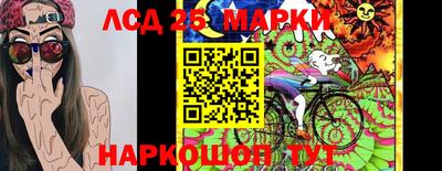 скорость Новокубанск