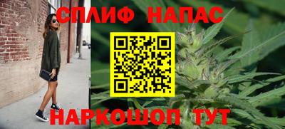 винт Будённовск