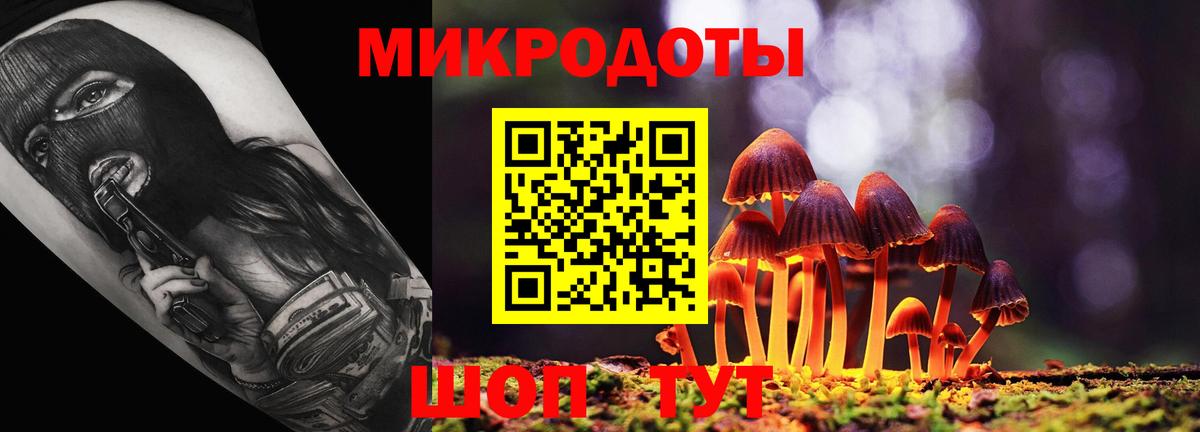 Галлюциногенные грибы MAGIC MUSHROOMS Кудрово