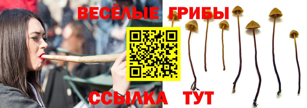 Псилоцибиновые грибы мухоморы  Вход с VPN  Кудрово 