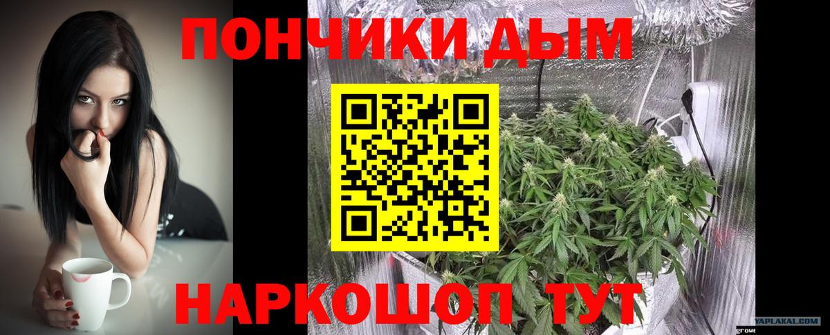Шишки марихуана марихуана  Марихуана Amnesia  Вход с VPN  Кудрово  Конопля индика 